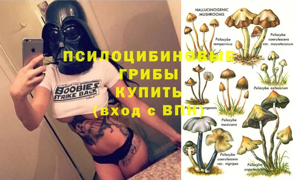 кокс Касимов