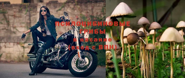 ешки Карталы